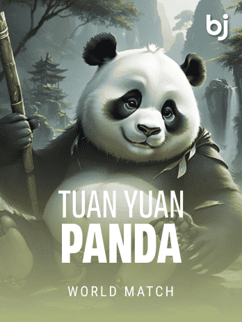 Tuan Yuan Panda game cover