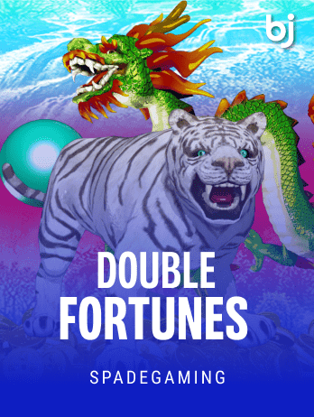 Double Fortunes game cover